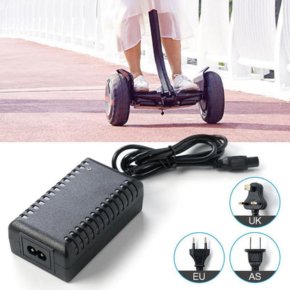 Balance Car Charger 